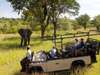 Ulusaba Safari Lodge - Game Drive 